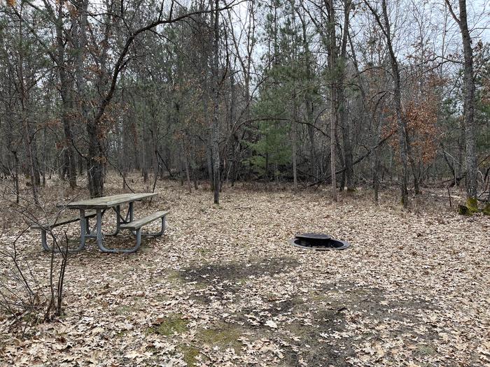 Campfire ring and picnic table at campsite 25