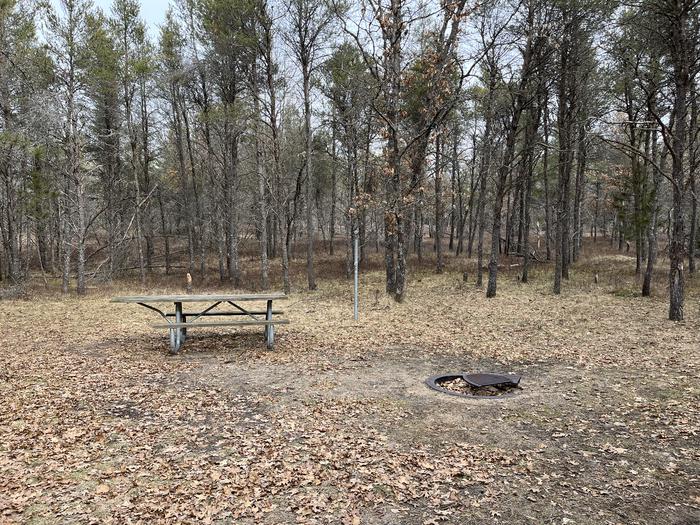 Campfire ring, picnic table, and lantern post at campsite 26