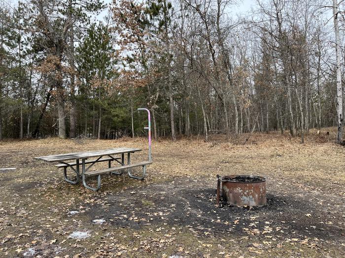Campfire ring, picnic table, and lantern post at campsite 29