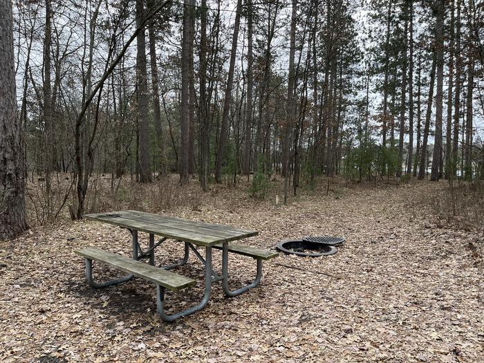 Campfire ring and picnic table in campsite 36