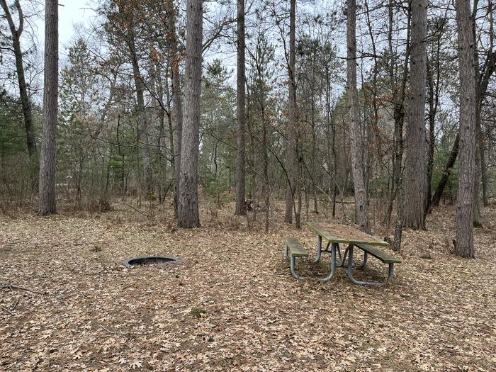 Campfire ring and picnic table in campsite 37