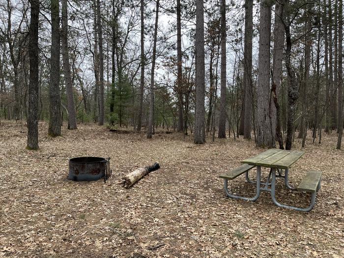 Campfire ring and picnic table at campsite 38