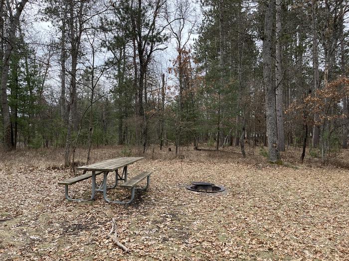 Campfire ring and picnic table at campsite 40