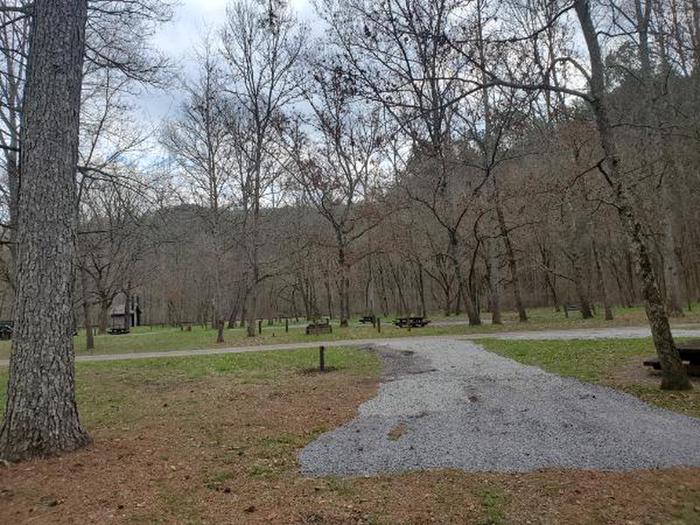 CampgroundA photo of facility Cottonwood Patch Campground 