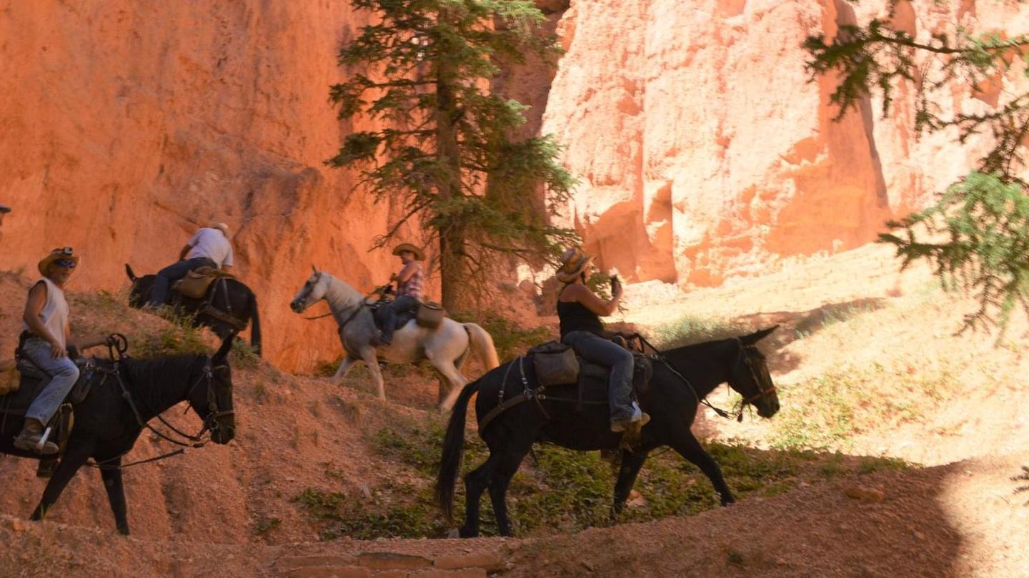Up the trail we go!Riding the hoodoos in Bryce Canyon National Park
