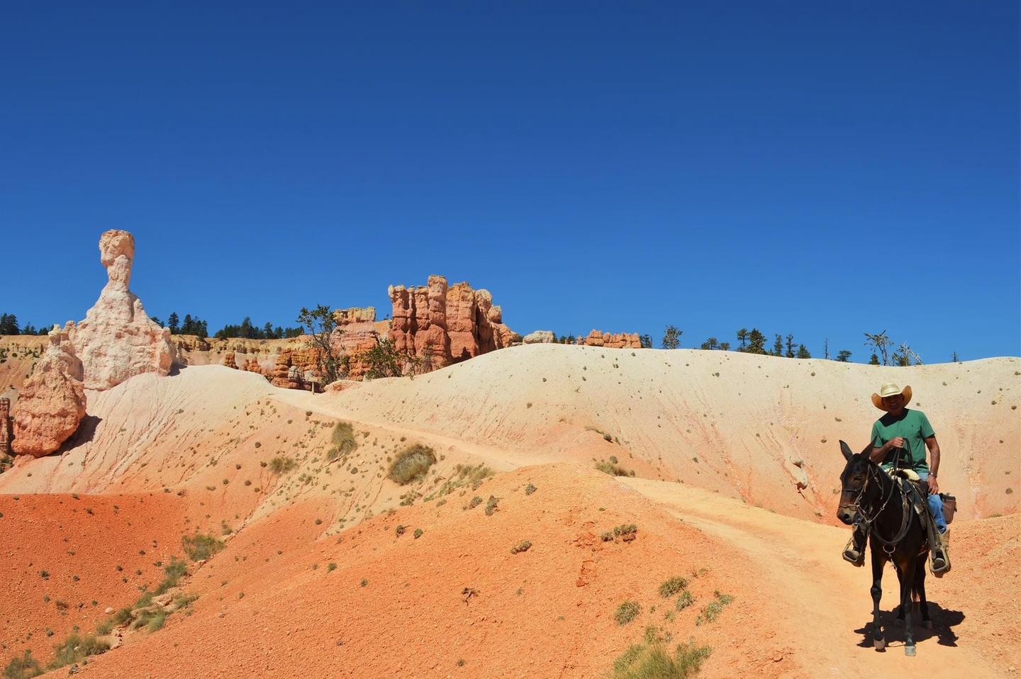 Private Horse RidesRiding the hoodoos in Bryce Canyon National Park