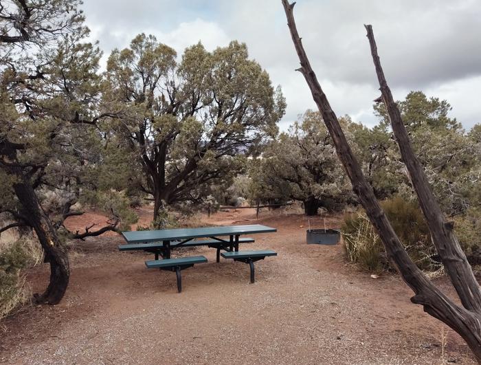 A metal picnic table and fire ring at Site 2.Site 2 has a tent pad, picnic table, and metal fire ring. The site is surrounded by pinon-juniper forest.