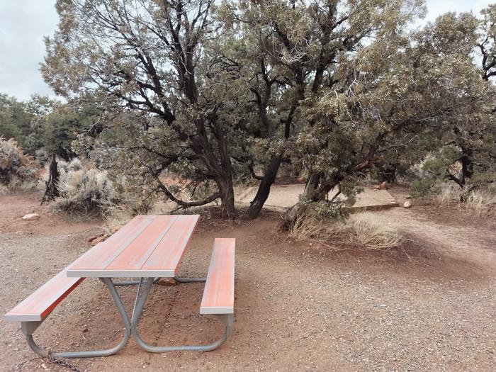 Picnic table and tent pad at Site 3, separated by a juniper.Site 3 has a tent pad, picnic table, and a metal fire ring. The site is surrounded by pinon-juniper forest.