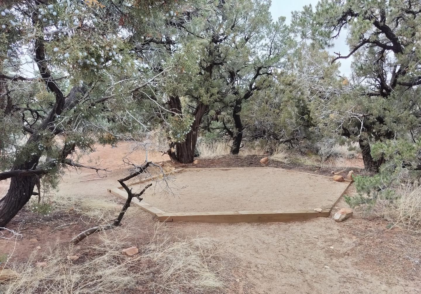 A small tent pad surrounded by treesSite 3 has a tent pad, picnic table, and a metal fire ring. The site is surrounded by pinon-juniper forest.