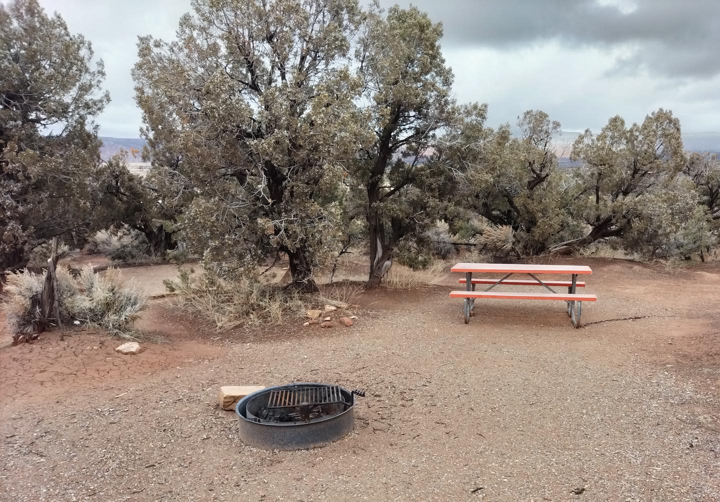 Picnic table and metal fire ring at Site 3Site 3 has a tent pad, picnic table, and a metal fire ring. The site is surrounded by pinon-juniper forest.