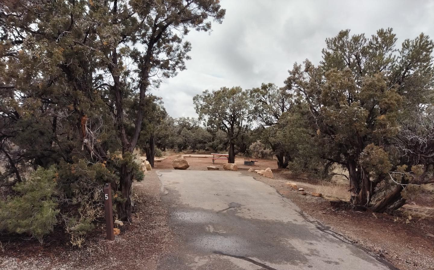 Parking space for Site 5, surrounded by trees.Site 5 has two tent pads, a picnic table and a metal fire ring. The site is surrounded by a pinon-juniper forest.