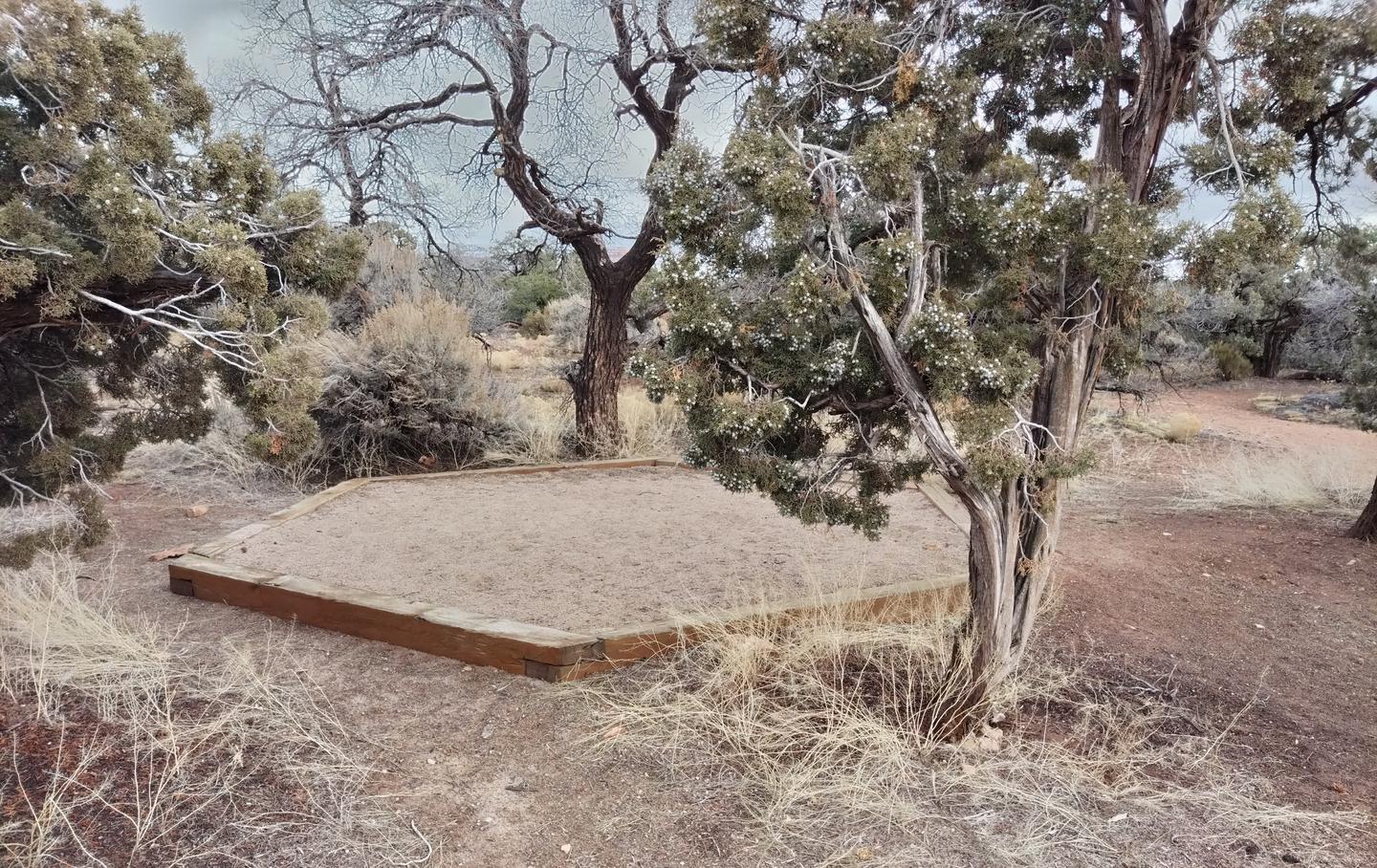 Small tent pad surrounded by junipers and grassSite 7 has two tent pads, a picnic table and a metal fire ring. The site is surrounded by a pinon-juniper forest.