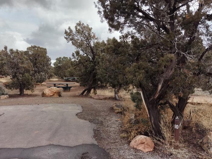 Parking spot for Site 10, surrounded by juniper trees. A picnic table is in the background.Site 10 has a tent pad, a picnic table and a metal fire ring. The site is surrounded by a pinon-juniper forest.
