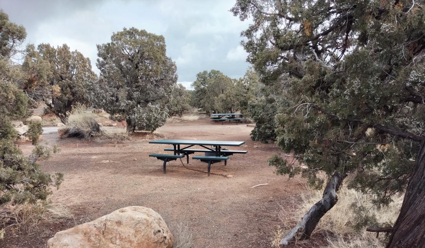 A green metal picnic table at Site 10.Site 10 has a tent pad, a picnic table and a metal fire ring. The site is surrounded by a pinon-juniper forest.