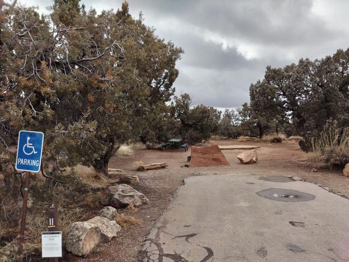Parking spot for Site 11, a picnic table and tent pad are in the background. Surrounded by trees and grasses.Site 11 has a tent pad, a picnic table and a metal fire ring. The site is surrounded by a pinon-juniper forest.