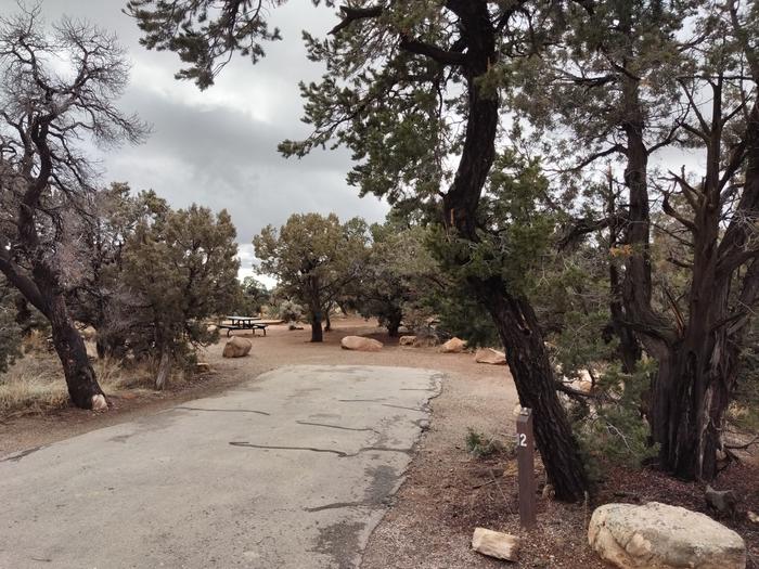 Parking spot for Site 12, surrounded by juniper and pinon pine trees.Site 12 has a tent pad, a picnic table and a metal fire ring. The site is surrounded by a pinon-juniper forest.