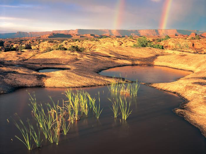 A double rainbow with pools of water in the foreground as seen from Pothole PointPothole Point is an easy self-guiding trail in the Needles District