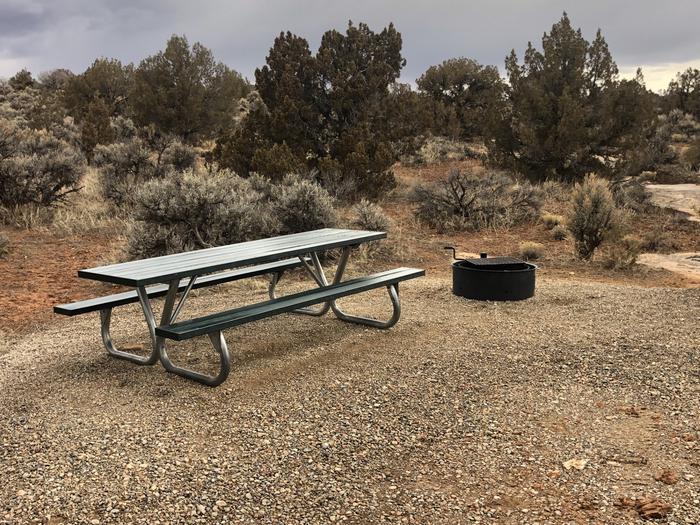 Picnic table and fire ring at Site 23