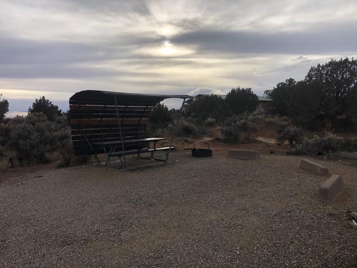 Picnic table and fire ring at Site 25