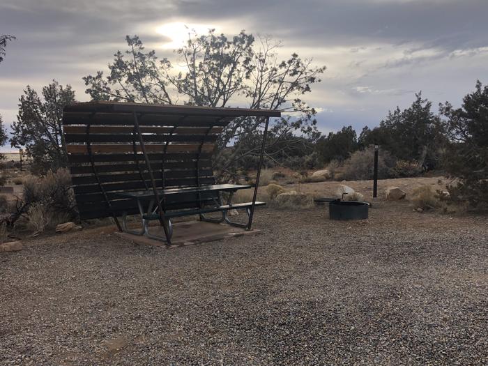 Picnic table and fire ring at Site 29