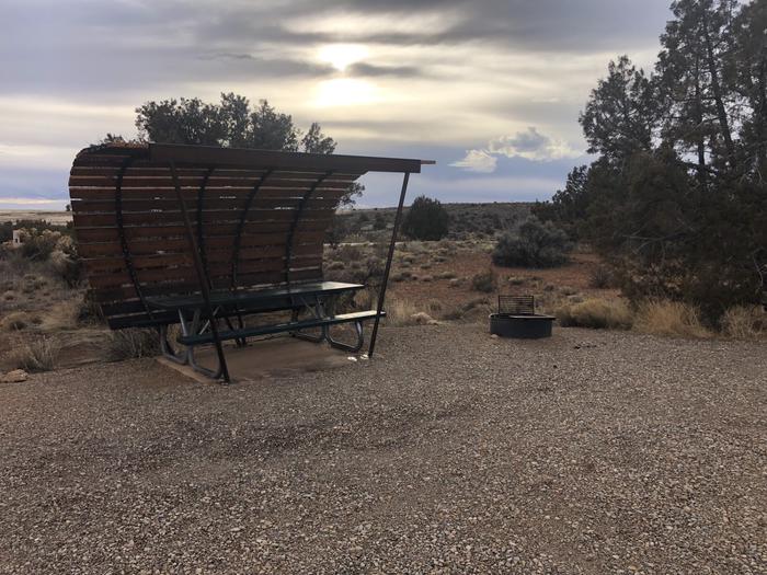 Picnic table and fire ring at Site 31