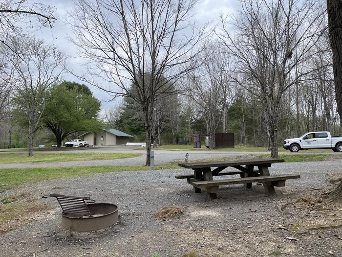 A photo of Site 075 of Loop STRE at SALT LICK CREEK with Picnic Table, Electricity Hookup, Fire Pit, Water Hookup