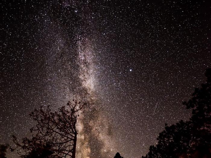 A star-filled dark sky over Voyageurs National Park