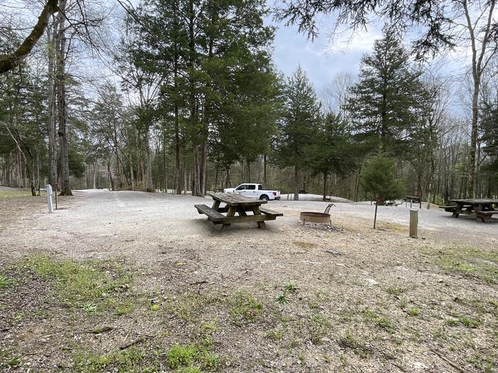 A photo of Site 124 of Loop WOOD at SALT LICK CREEK with Picnic Table, Electricity Hookup, Fire Pit, Water Hookup