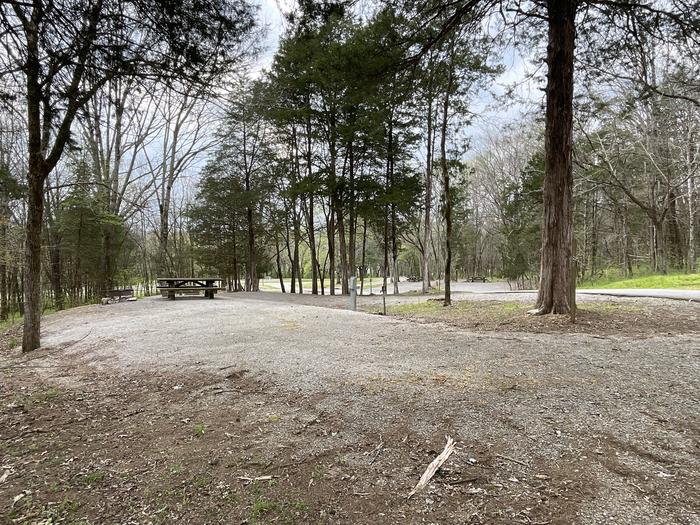 A photo of Site 121 of Loop WOOD at SALT LICK CREEK with Picnic Table, Electricity Hookup, Fire Pit, Water Hookup