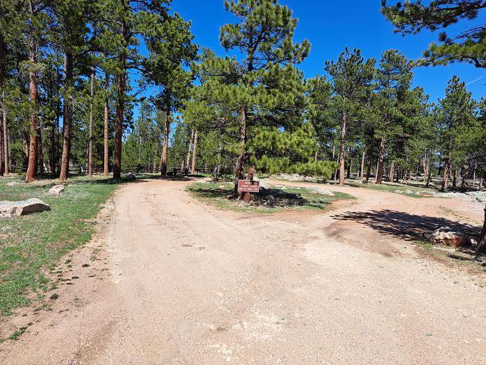 Esterbrook Campground site 1 Site 1 loop