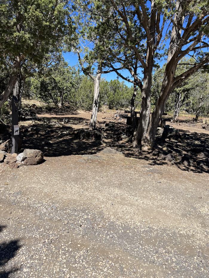 Site 17Ashurst Lake Campground - Site 17
