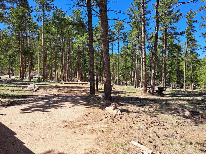 Esterbrook Campground Site 2 Site #2 