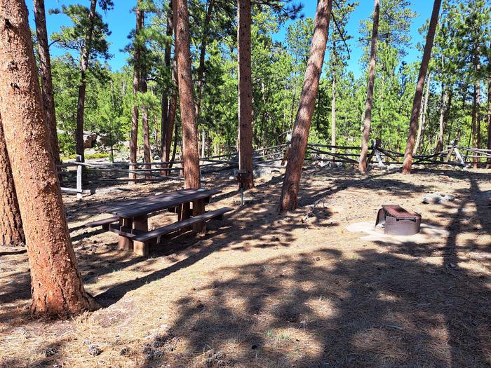 Esterbrook Campground Site 2 Site #2 Amenities 