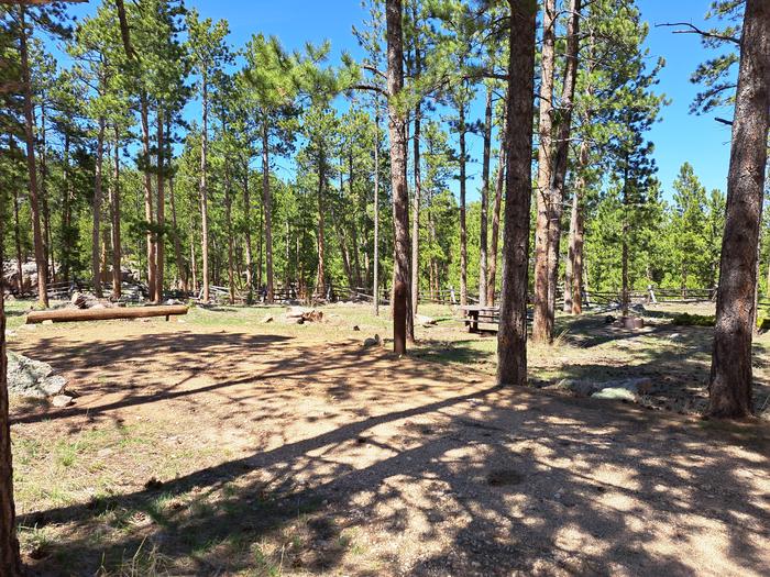 Esterbrook Campground Site 2  overviewSite #2