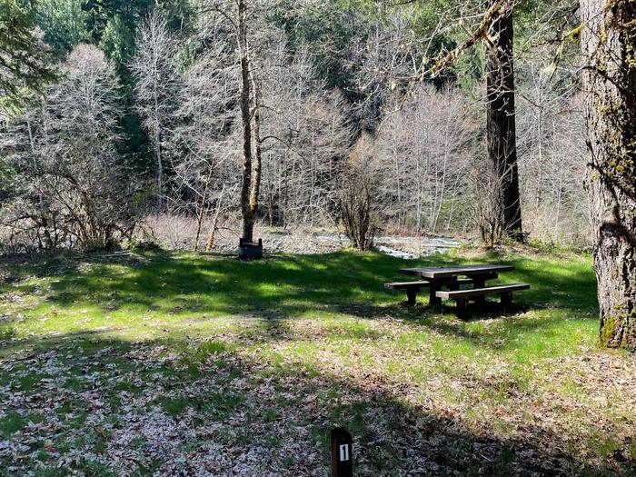 A grassy campsite on the bank of a river. The site has a wooden picnic table and a metal fire ring.Another example campsite. The campground has 6 sites, all of which are close to each other and the river.