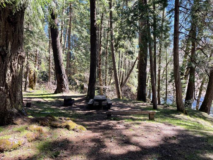A campsite surrounded by large trees. The site has a wooden picnic table and metal fire ring. A river can be seen at the edge of the site.Other campsites offer more shade while still providing views of the river.