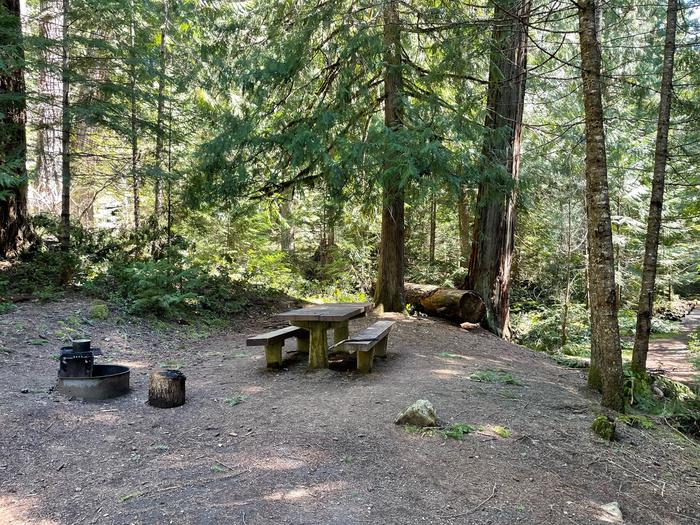 A small campsite covered in shade by surrounding trees. The site has a wooden picnic table and metal fire ring.The sites in the campground are small, with each well shaded by surrounding trees and containing a table and fire ring.