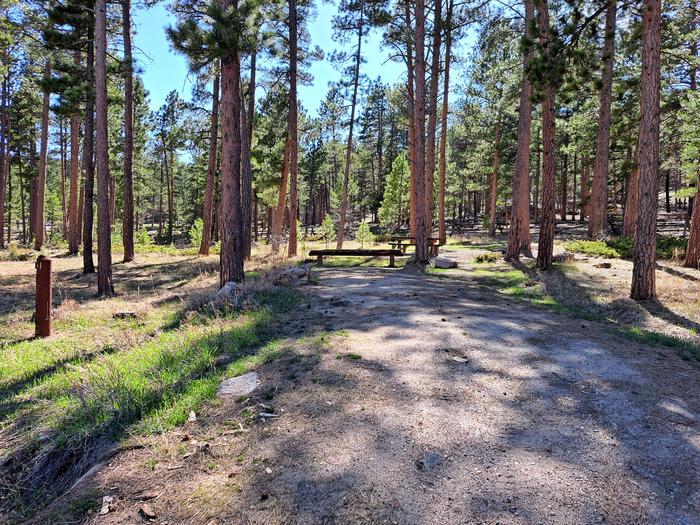 Esterbrook Campground site 6Site 6