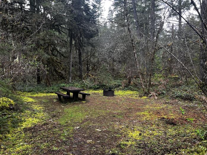 A mossy campsite surrounded by dense forest. There is a wooden picnic table and a metal fire ring.Site two has a small parking spot but a spacious camping area, ideal for tent camping.