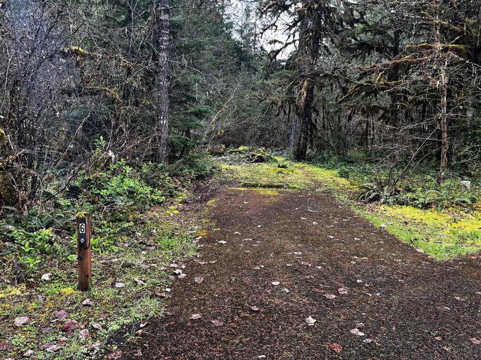 A paved parking space with a dirt path leading to a campsite just in the distance.Site 6 is a great option for those traveling light or perhaps bikepacking the Middle Fork Trail.