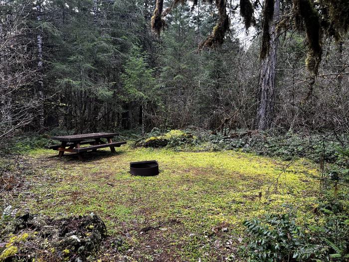 A small, mossy campsite with a picnic table and metal fire ring.Site 6 is a great option for those traveling light or perhaps bikepacking the Middle Fork Trail.