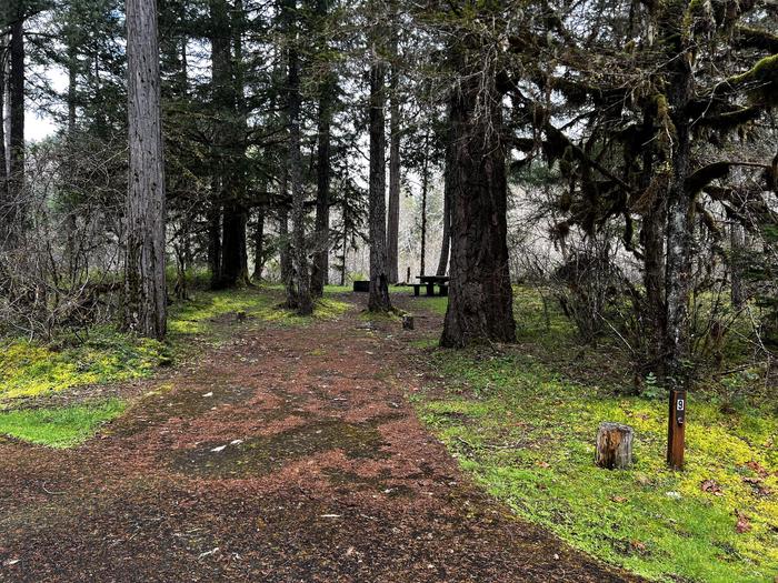A paved parking area leads into a large campsite with several large trees growing throughout it.Site 9 is a large site with lots of open space for a whole group to enjoy. It is conveniently located right near the trailhead for the Middle Fork Trail.