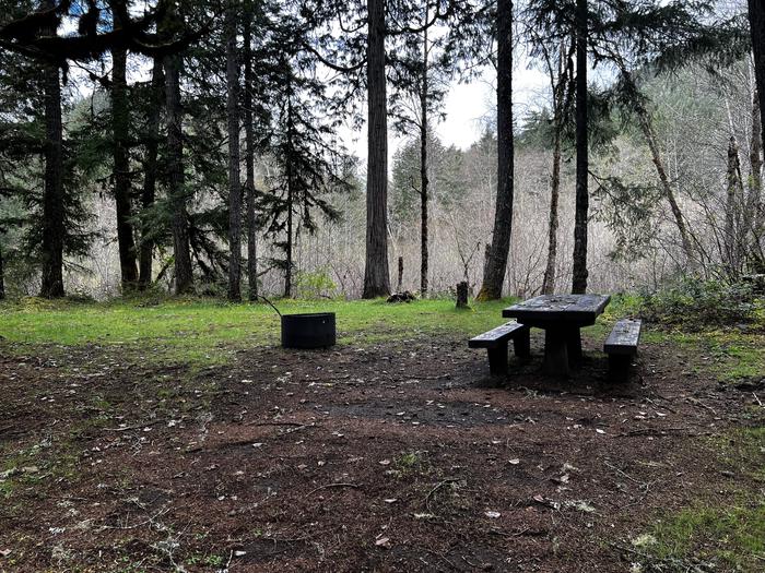 A large campsite with a wooden picnic table and a metal fire ring. The far edge of the site opens to a view of a floodplain.Site 9 is a large site with lots of open space for a whole group to enjoy. It is conveniently located right near the trailhead for the Middle Fork Trail.