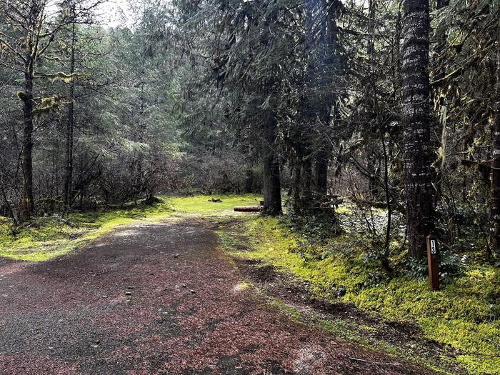 A wide paved parking spot lined with forest. A grassy campsite is at the back of the parking area.Site 13 has a wide parking spot and large camping area, making it good for both van and tent campers.