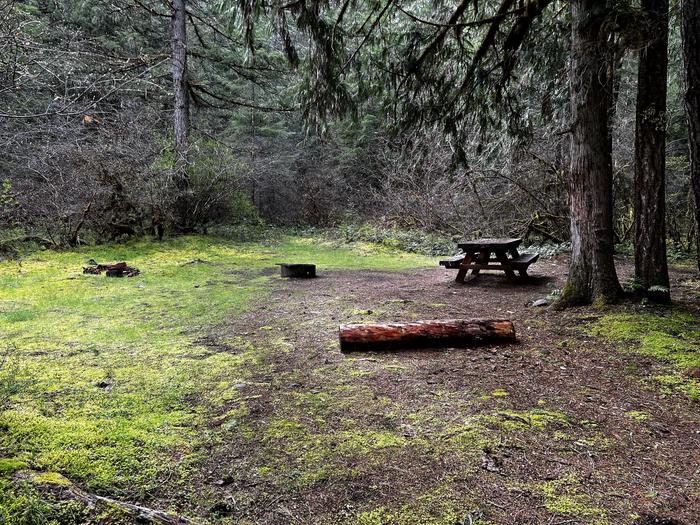 A wide campsite with a wooden picnic table and a metal fire ring. The site is shaded by a large tree.Site 13 has a wide parking spot and large camping area, making it good for both van and tent campers.