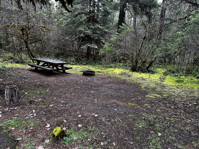 A campsite with wooden picnic table and metal fire ring, bordered by dense forest and mossy ground.Site 17 is one of our few pull-through sites, offering space for small trailers, RVs, and campers.