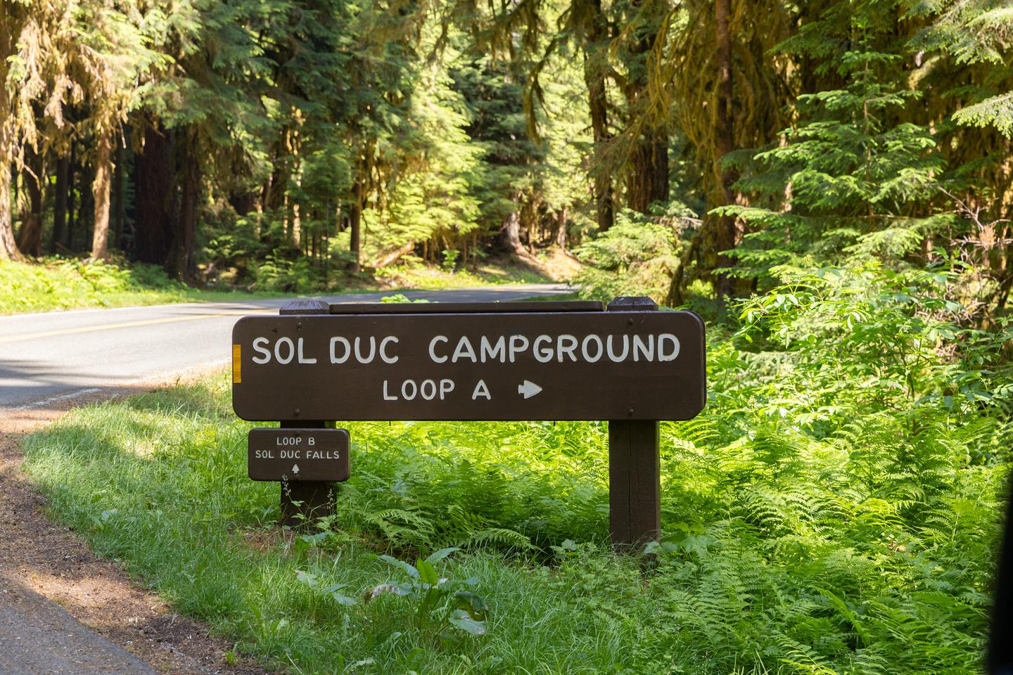 Loop A SignageSol Duc Campground Loop A Signage