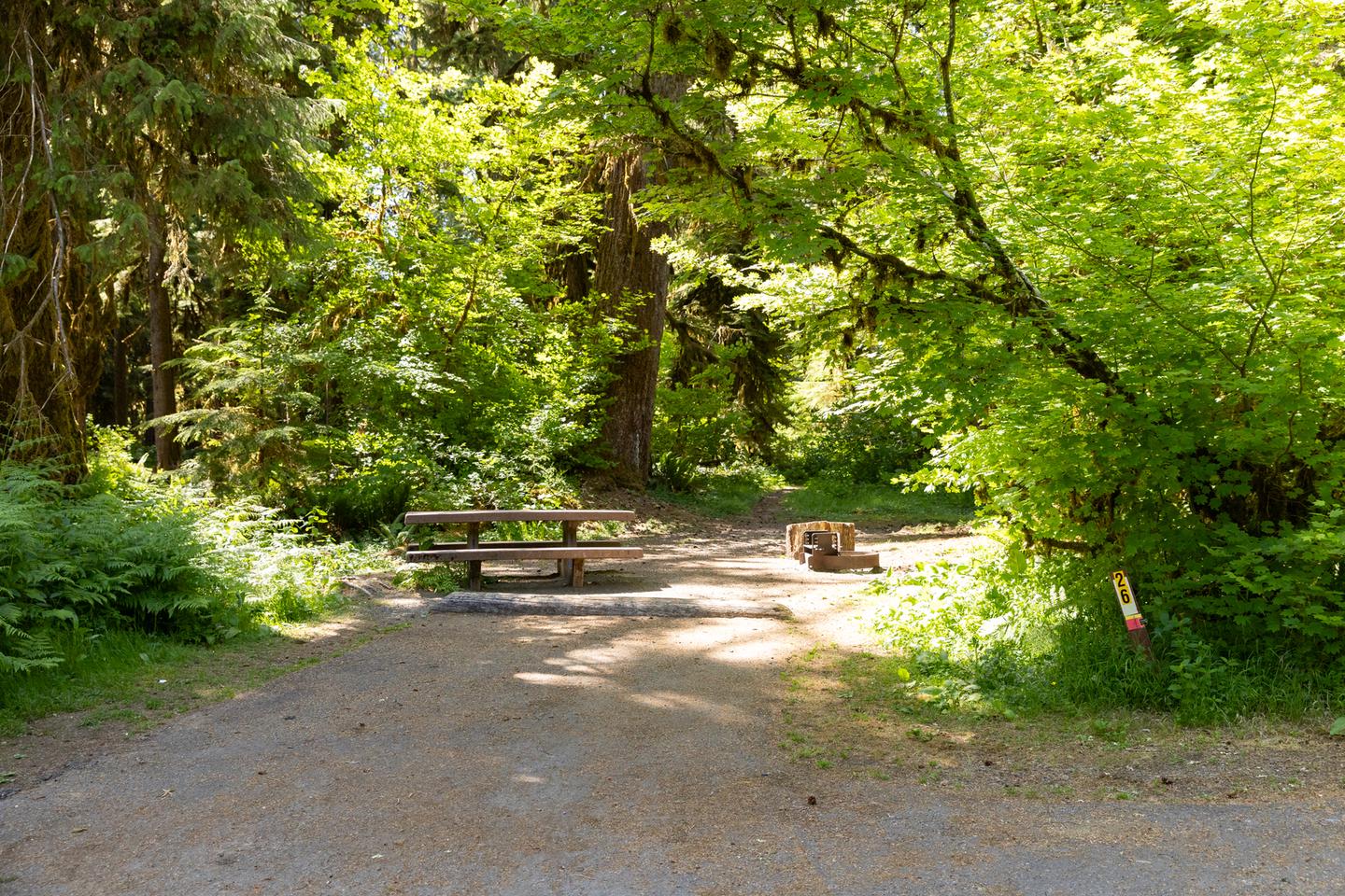 Campsite #26 with tree shaded area, picnic table, and gravel parking.Campsite #26