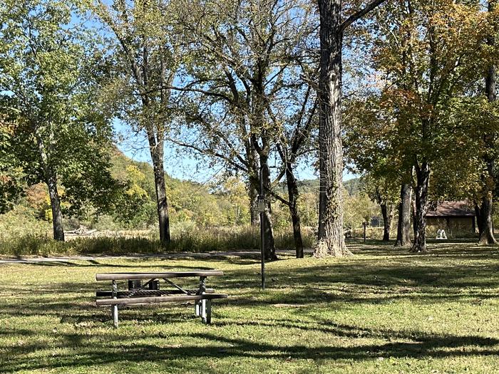 A photo of Site 313 of Loop Loop 300 at ALLEY SPRING with Picnic Table, Fire Pit, Lantern Pole