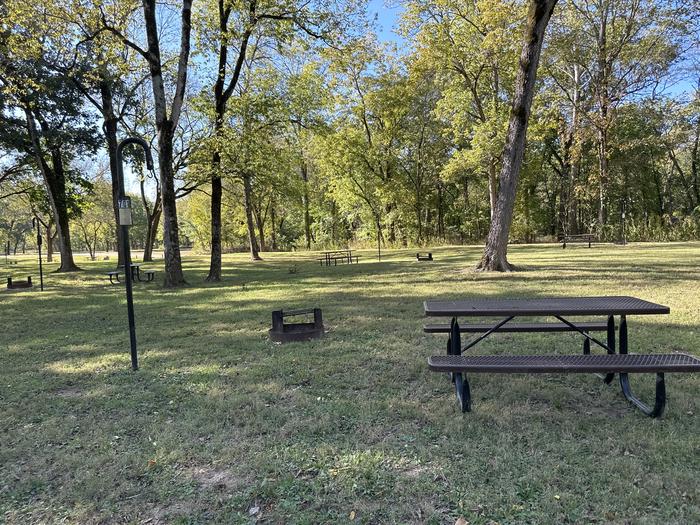A photo of Site 701 of Loop Loop 700 at ALLEY SPRING with Picnic Table, Fire Pit, Shade, Lantern Pole